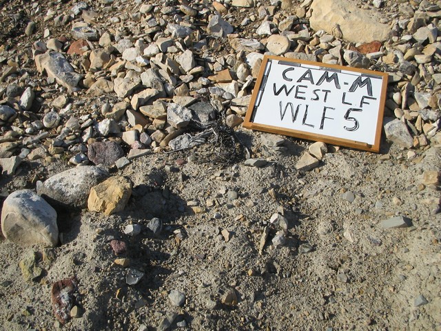 Thumb for 17 aug 05 wlf5.jpg (3740 KB)